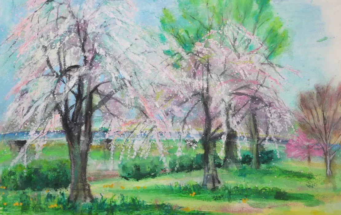 垂れ柳を垂れ桜への作品画像