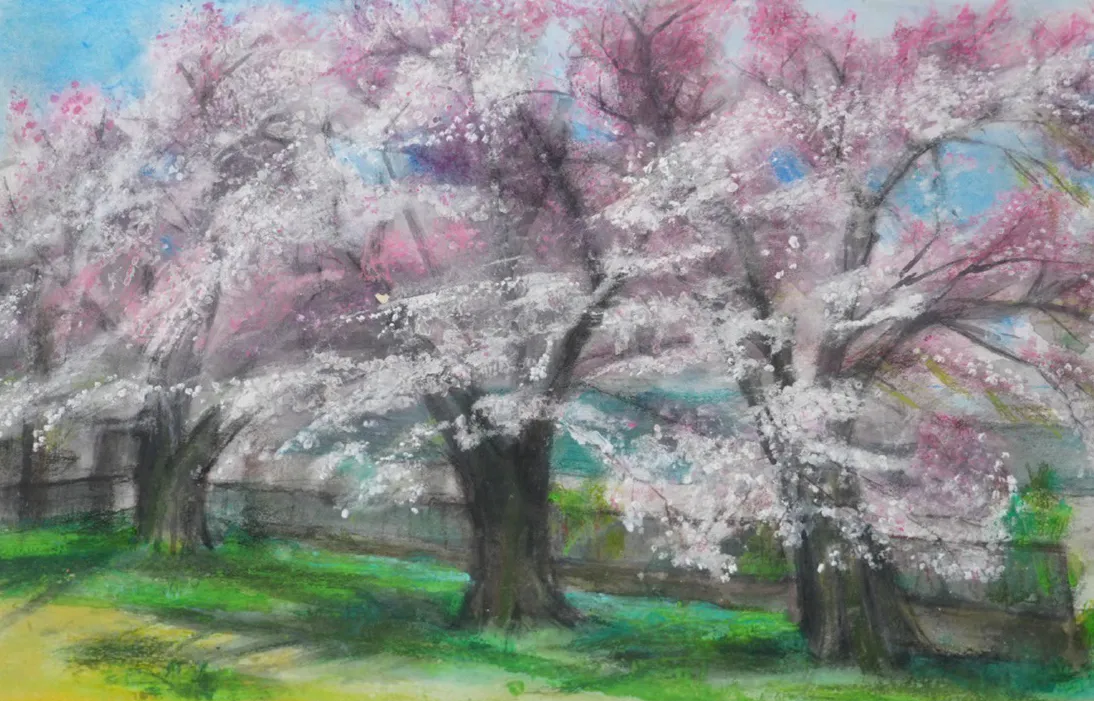 稲荷山公園の桜の作品画像